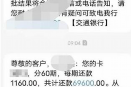 庄河为什么选择专业追讨公司来处理您的债务纠纷？